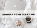 新疆昆虫网站高清照片素材（昆虫图片下载）